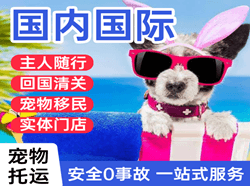 普陀山航空快运国际宠物托运 【国